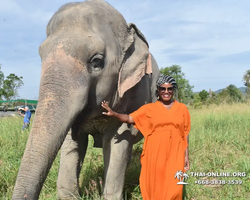 Elephant Jungle Sanctuary excursion in Pattaya Thailand - photo 363