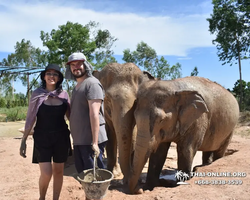 Elephant Jungle Sanctuary excursion in Pattaya Thailand - photo 312