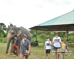 Elephant Jungle Sanctuary excursion in Pattaya Thailand - photo 906