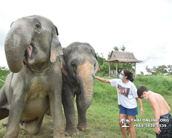 Elephant Jungle Sanctuary excursion in Pattaya Thailand - photo 905