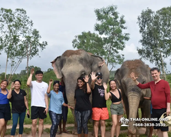 Elephant Jungle Sanctuary excursion in Pattaya Thailand - photo 329