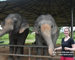 Elephant Jungle Sanctuary excursion in Pattaya Thailand - photo 980