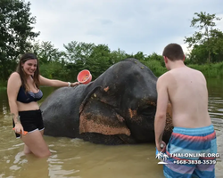 Elephant Jungle Sanctuary excursion in Pattaya Thailand - photo 872