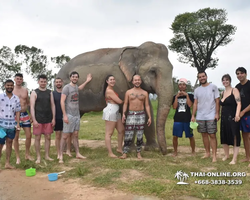 Elephant Jungle Sanctuary excursion in Pattaya Thailand - photo 406