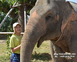 Elephant Jungle Sanctuary excursion in Pattaya Thailand - photo 278