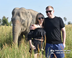 Elephant Jungle Sanctuary excursion in Pattaya Thailand - photo 595