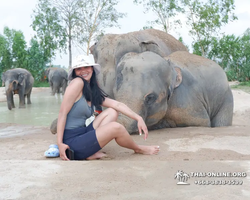 Elephant Jungle Sanctuary excursion in Pattaya Thailand - photo 648