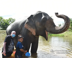 Elephant Jungle Sanctuary excursion in Pattaya Thailand - photo 866
