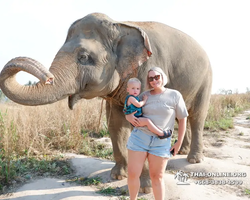 Elephant Jungle Sanctuary excursion in Pattaya Thailand - photo 359