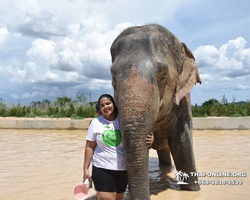 Elephant Jungle Sanctuary excursion in Pattaya Thailand - photo 910