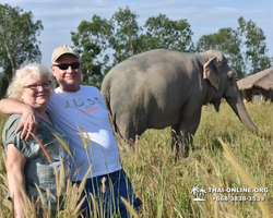 Elephant Jungle Sanctuary excursion in Pattaya Thailand - photo 396