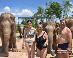 Elephant Jungle Sanctuary excursion in Pattaya Thailand - photo 365