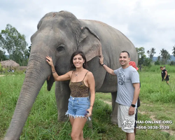 Elephant Jungle Sanctuary excursion in Pattaya Thailand - photo 496