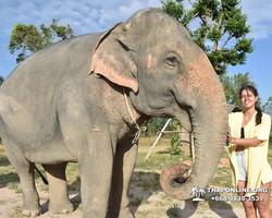 Elephant Jungle Sanctuary excursion in Pattaya Thailand - photo 102