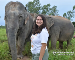 Elephant Jungle Sanctuary excursion in Pattaya Thailand - photo 727