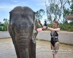 Elephant Jungle Sanctuary excursion in Pattaya Thailand - photo 487