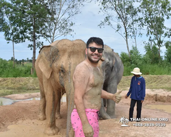 Elephant Jungle Sanctuary excursion in Pattaya Thailand - photo 62