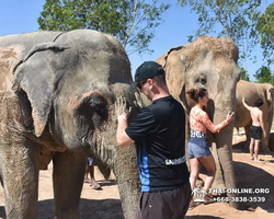 Elephant Jungle Sanctuary excursion in Pattaya Thailand - photo 70