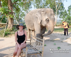 Elephant Jungle Sanctuary excursion in Pattaya Thailand - photo 356