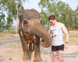 Elephant Jungle Sanctuary excursion in Pattaya Thailand - photo 115