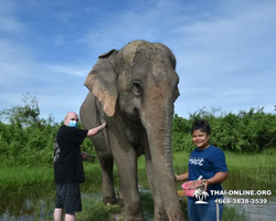 Elephant Jungle Sanctuary excursion in Pattaya Thailand - photo 1010