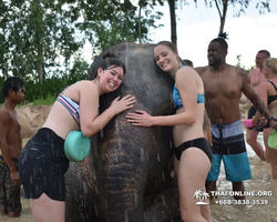 Elephant Jungle Sanctuary excursion in Pattaya Thailand - photo 700