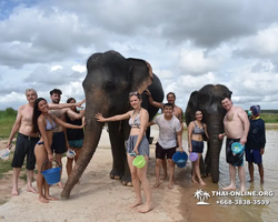 Elephant Jungle Sanctuary excursion in Pattaya Thailand - photo 948