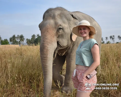 Elephant Jungle Sanctuary excursion in Pattaya Thailand - photo 491