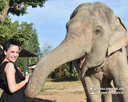 Elephant Jungle Sanctuary excursion in Pattaya Thailand - photo 455