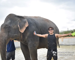 Elephant Jungle Sanctuary excursion in Pattaya Thailand - photo 1054
