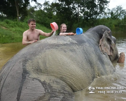 Elephant Jungle Sanctuary excursion in Pattaya Thailand - photo 469