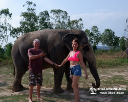 Elephant Jungle Sanctuary excursion in Pattaya Thailand - photo 292