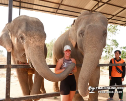 Elephant Jungle Sanctuary excursion in Pattaya Thailand - photo 506