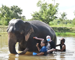 Elephant Jungle Sanctuary excursion in Pattaya Thailand - photo 417