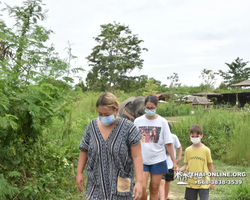 Elephant Jungle Sanctuary excursion in Pattaya Thailand - photo 265