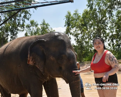 Elephant Jungle Sanctuary excursion in Pattaya Thailand - photo 364