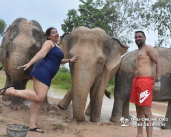 Elephant Jungle Sanctuary excursion in Pattaya Thailand - photo 260