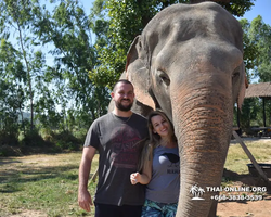 Elephant Jungle Sanctuary excursion in Pattaya Thailand - photo 21