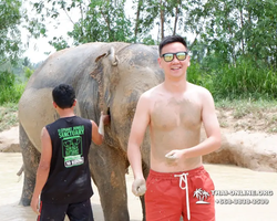 Elephant Jungle Sanctuary excursion in Pattaya Thailand - photo 281