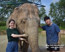 Elephant Jungle Sanctuary excursion in Pattaya Thailand - photo 442