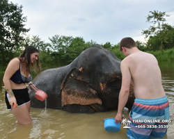 Elephant Jungle Sanctuary excursion in Pattaya Thailand - photo 924