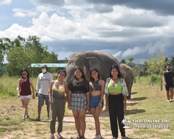 Elephant Jungle Sanctuary excursion in Pattaya Thailand - photo 612