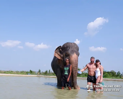 Elephant Jungle Sanctuary excursion in Pattaya Thailand - photo 1114