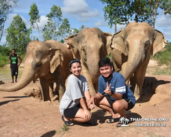 Elephant Jungle Sanctuary excursion in Pattaya Thailand - photo 186