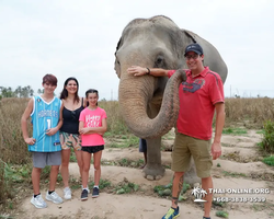 Elephant Jungle Sanctuary excursion in Pattaya Thailand - photo 580