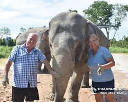 Elephant Jungle Sanctuary excursion in Pattaya Thailand - photo 432