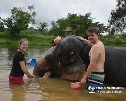 Elephant Jungle Sanctuary excursion in Pattaya Thailand - photo 917