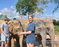 Elephant Jungle Sanctuary excursion in Pattaya Thailand - photo 326