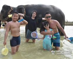Elephant Jungle Sanctuary excursion in Pattaya Thailand - photo 1055