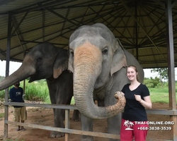 Elephant Jungle Sanctuary excursion in Pattaya Thailand - photo 914